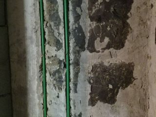日常巡检