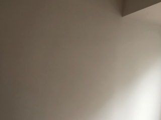 墙、顶面乳胶漆及墙纸铺贴