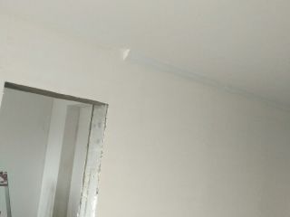 现场木制品造型施作