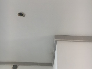 墙、顶面腻子批嵌