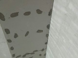日常巡检
