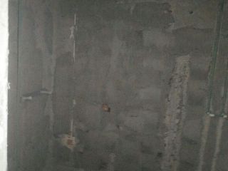 日常巡检