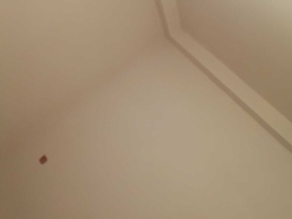 墙、顶面乳胶漆