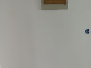 成品门及墙纸铺贴
