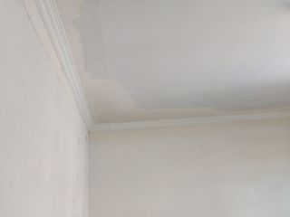 墙、顶面腻子批嵌