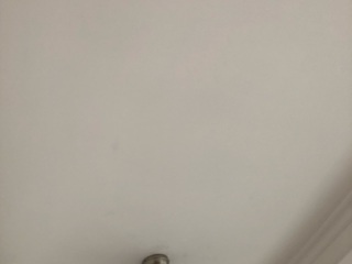 墙、顶面乳胶漆