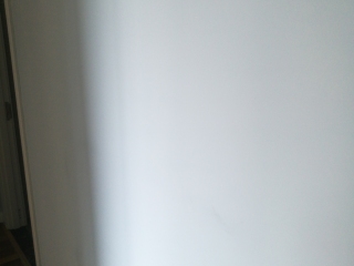 墙、顶面乳胶漆