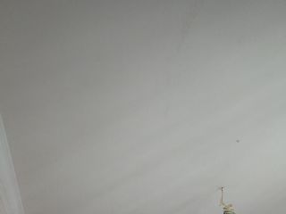 墙、顶面腻子批嵌
