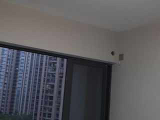 墙、顶面乳胶漆