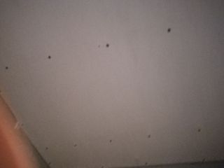 木工吊顶施工