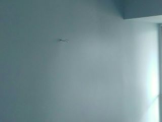 油漆工程 验收