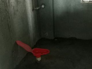 日常巡检