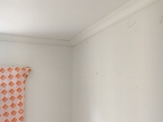墙、顶面腻子批嵌