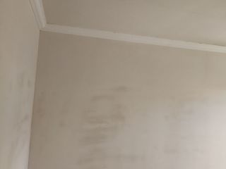 墙、顶面腻子批嵌