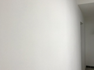 墙、顶面乳胶漆