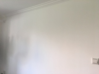 墙、顶面乳胶漆