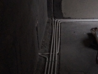 日常巡检