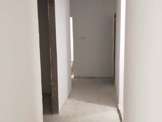 墙、顶面乳胶漆