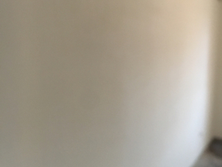 墙、顶面腻子批嵌