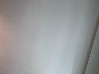 墙、顶面腻子批嵌