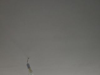 日常巡检