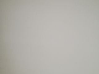 墙、顶面腻子批嵌