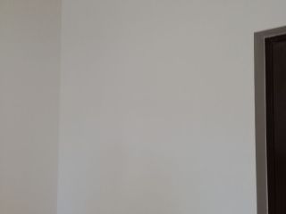 墙、顶面乳胶漆