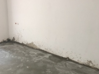现场木制品造型施作