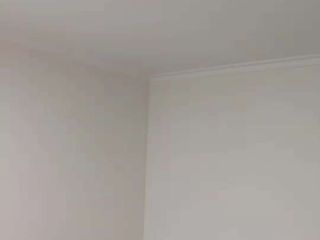 现场木制品造型施作
