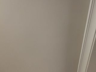 墙、顶面乳胶漆