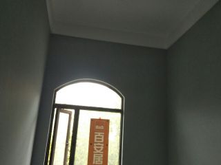 墙、顶面乳胶漆