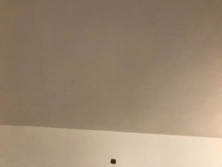 墙、顶面乳胶漆