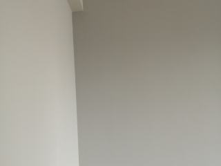 墙、顶面腻子批嵌