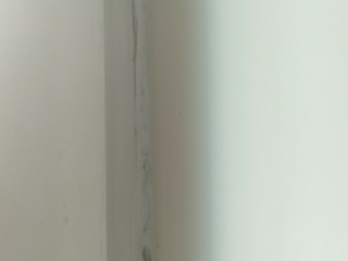 墙、顶面腻子批嵌