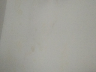 墙、顶面乳胶漆