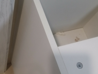 成品门及墙纸铺贴