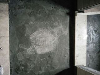 日常巡检