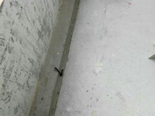 水、电管开槽施作