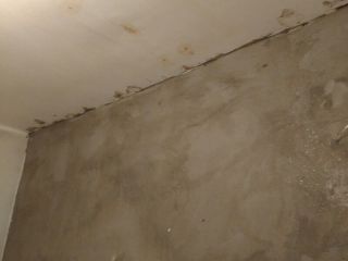 现场木制品造型施作