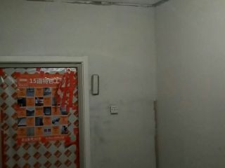 墙、顶面腻子批嵌