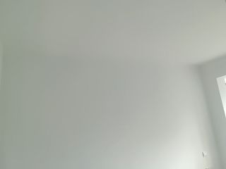 墙、顶面乳胶漆