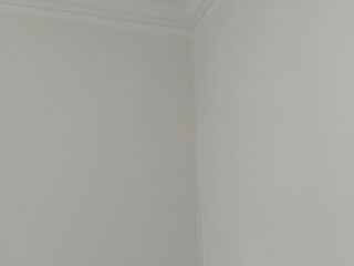 墙、顶面乳胶漆