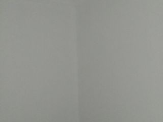 墙、顶面乳胶漆