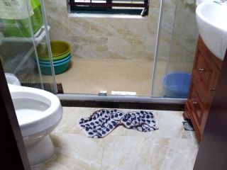 成品门及墙纸铺贴