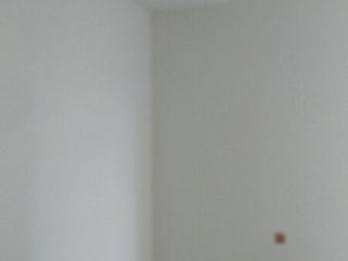 墙、顶面腻子批嵌