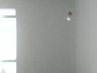 现场木制品造型施作