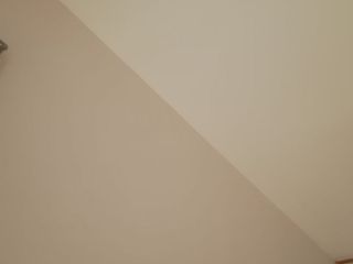 墙、顶面乳胶漆