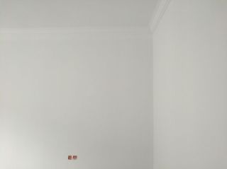墙、顶面乳胶漆