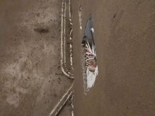 强、弱电布管穿线