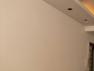 墙、顶面乳胶漆